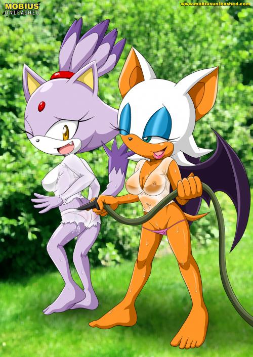 Sonic blaze porn story full size