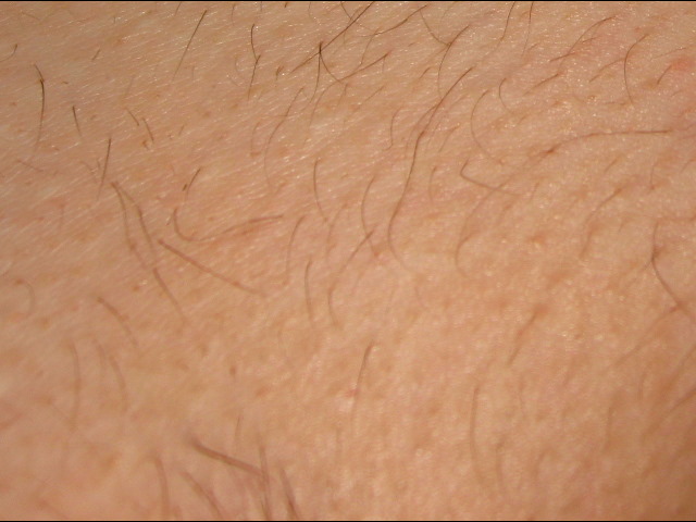 Pubic mons pubis hair full size