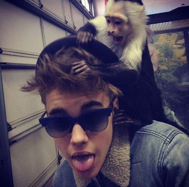 Justin bieber pet monkey full size