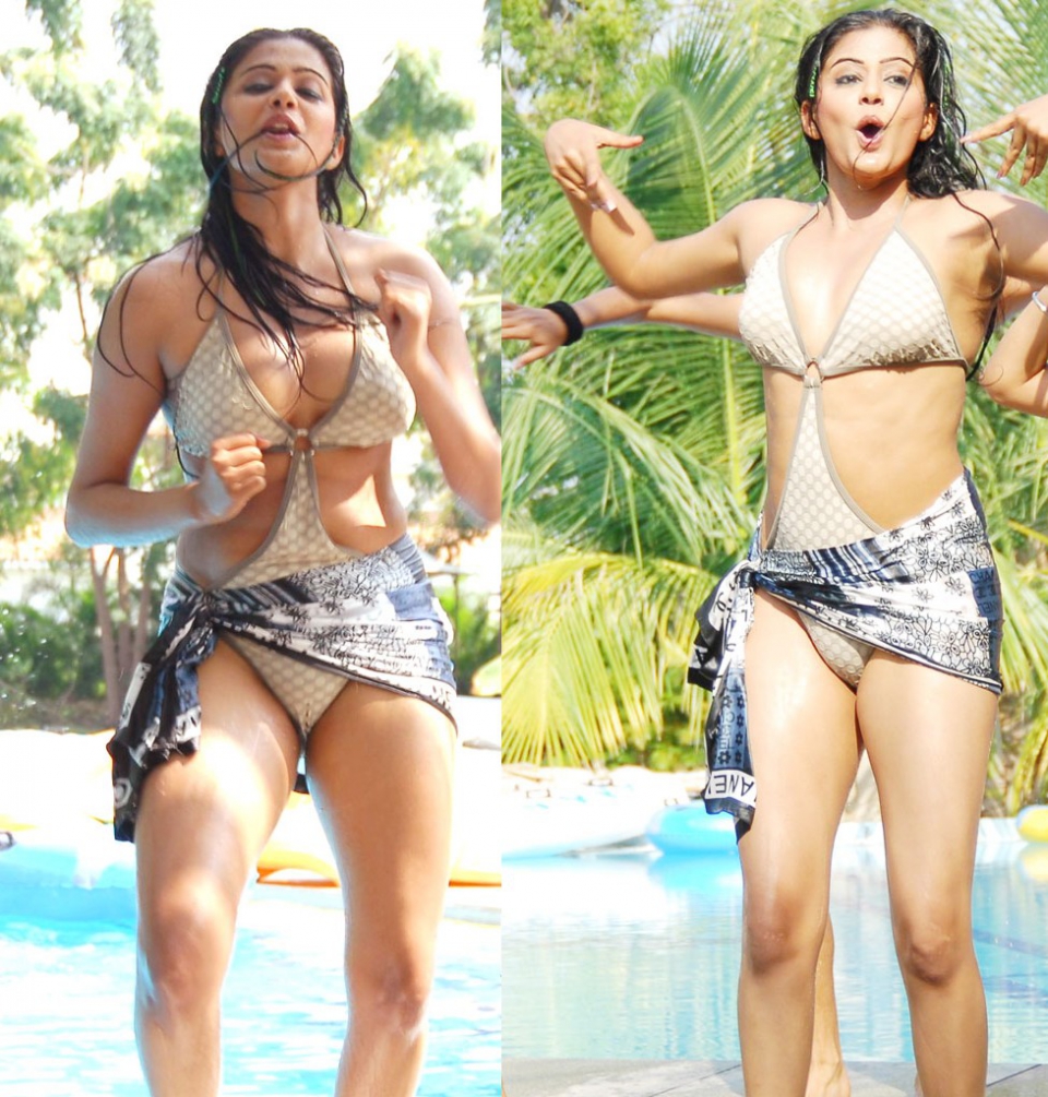 Priyamani tamil actress bikini full size