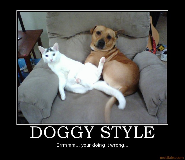 Doggystyle your doing it wrong full size