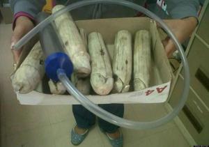 Male penis enlargement 960X677 jpeg