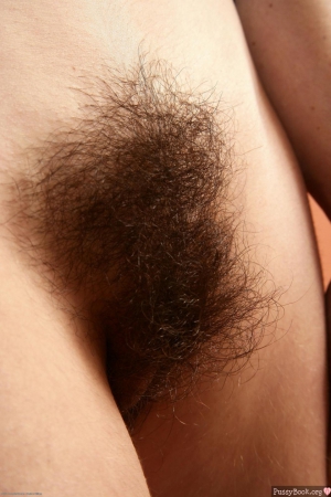 Big hairy bush vagina 960X1443 jpeg