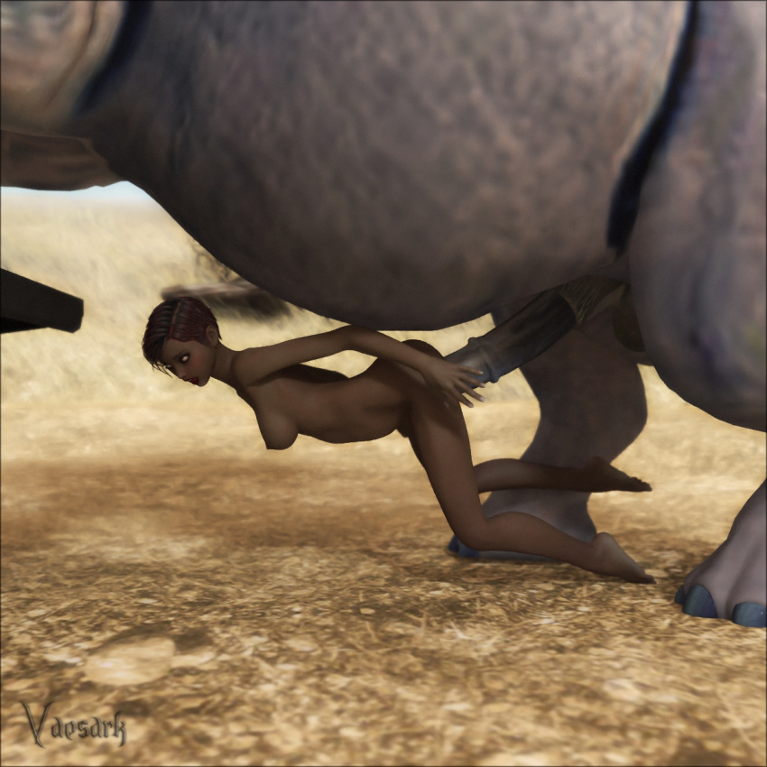 Elephant animal human sex full size