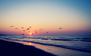 Tumblr summer beach sunset background 960X600 jpeg