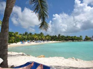 Aruba beaches adult only resorts 550X412 jpeg