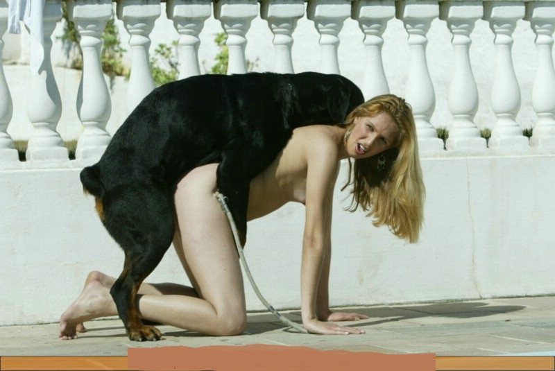 Girl first time dog sex with animal gif full size