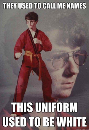 Karate kyle meme 491X720 jpeg