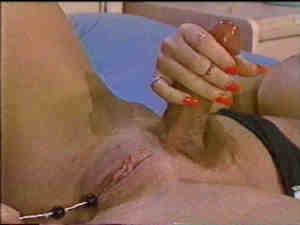 Hermaphrodites porn sex 640X480 jpeg