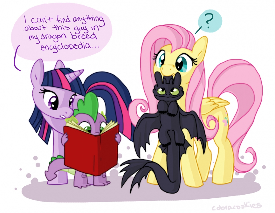 How to train your dragon my little pony full size