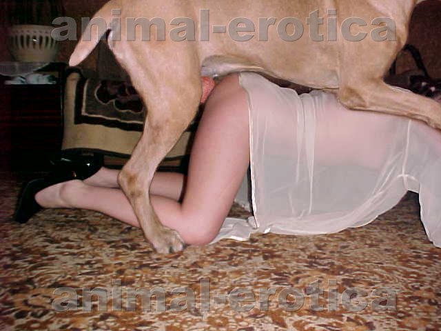 Naked girls fucking dogs sex full size
