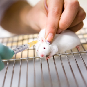 Human animal testing 468X468 jpeg
