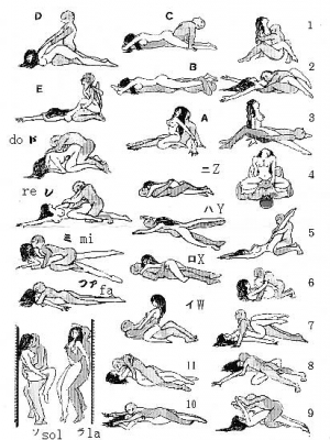 Sex positions diagram 412X550 jpeg