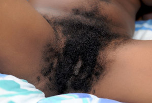 Black ebony hairy pussy bush 639X438 jpeg