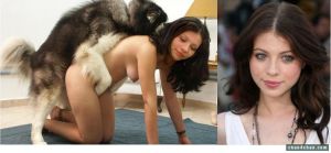 Anonymous chan dog porn 912X423 jpeg