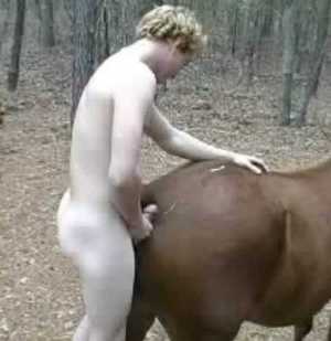 Man and mare bestiality 500X515 jpeg