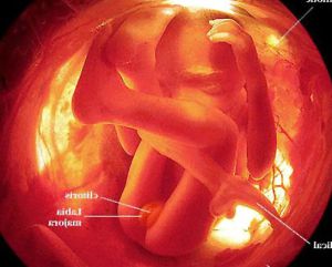 41 weeks pregnant 546X440 jpeg