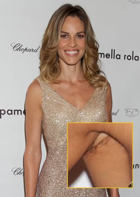 Hilary swank full size
