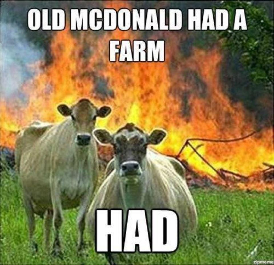Evil cow meme full size