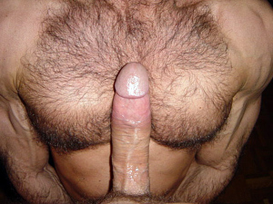 Naked gay bears and otters 600X450 jpeg