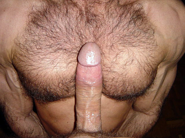 Naked gay bears and otters full size