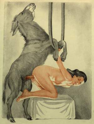 Donkey sex cartoon porn 700X930 jpeg