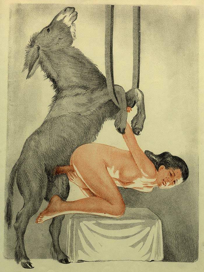 Donkey sex cartoon porn full size