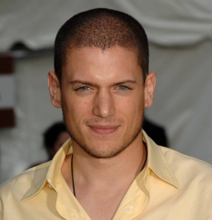 Wentworth miller 960X997 jpeg