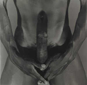Robert mapplethorpe nudes 437X432 jpeg
