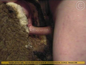 Man sheep sex with animal 640X480 jpeg