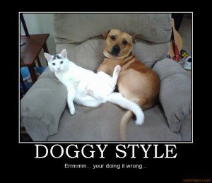 Demotivational doggystyle 640X553 jpeg