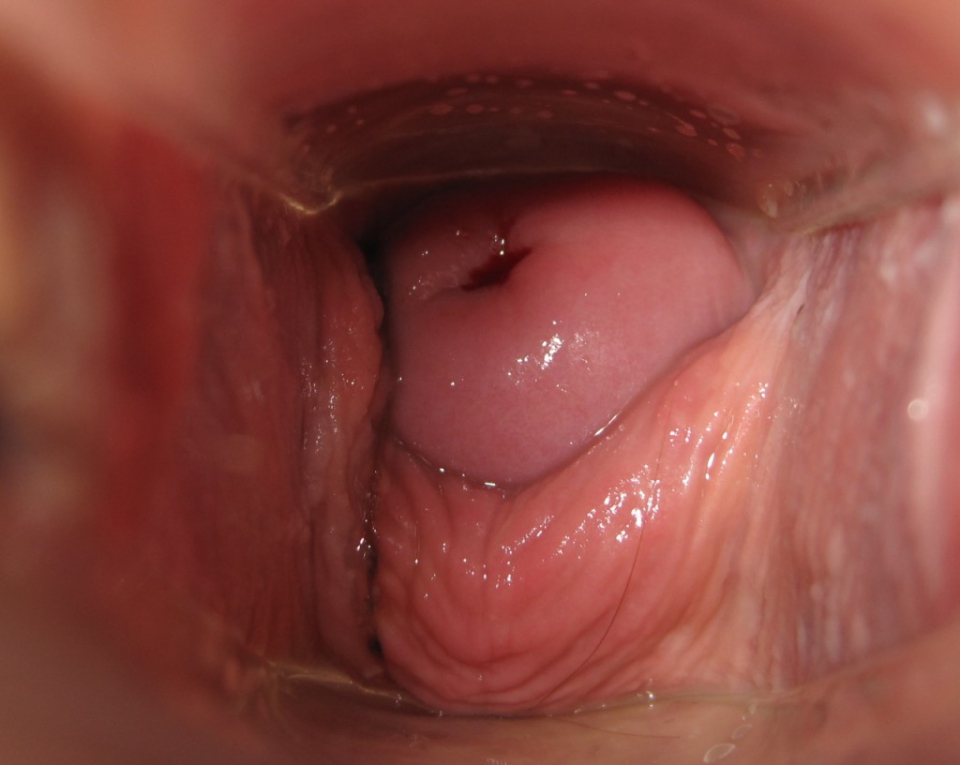 Penis inside vagina orgasm full size