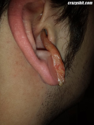 Fuck your ears 640X853 jpeg