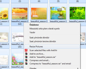 Free image resizer windows 7 500X400 jpeg