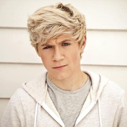 Niall horan full size