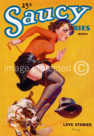 Vintage pulp cover art 685X996 jpeg