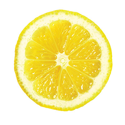 Lemon slice full size