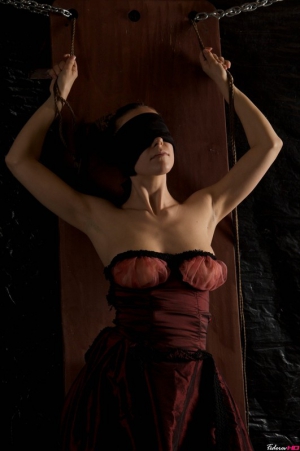 Bondage and blindfolds 531X800 jpeg