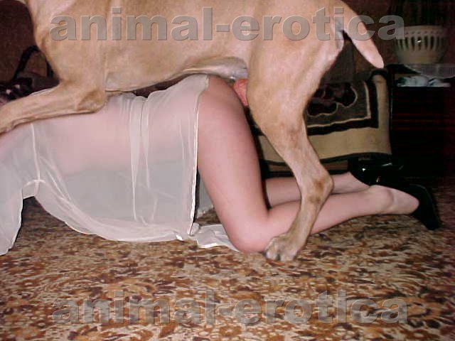 Woman dog fucking girl full size