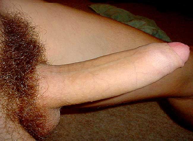 Penis shapes and sizes full size