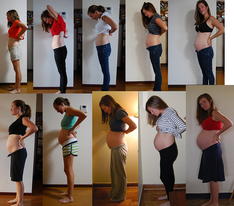 Pregnant belly week by week full size