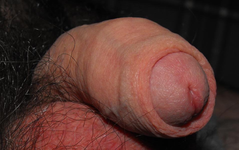 Beautiful uncut soft cock full size
