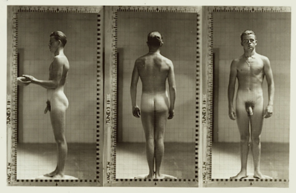 Ivy league nude posture full size