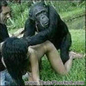 Monkey fucks girl woman 550X550 jpeg