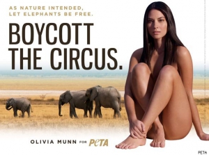 Olivia munn peta 590X440 jpeg