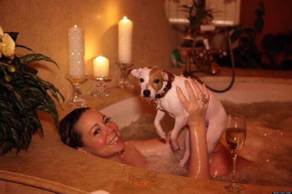 Mariah carey dog full size
