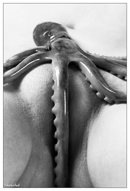 Artistic fine art nude full size