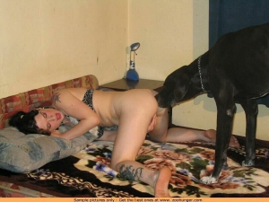 Girl lets dog fuck her movies 800X600 jpeg