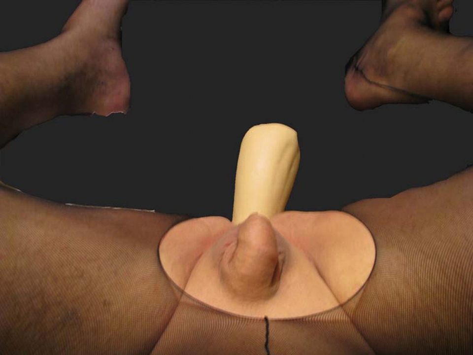 Panties and pantyhose dildo full size
