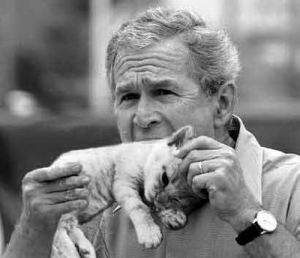 George bush eating kitten 500X430 jpeg